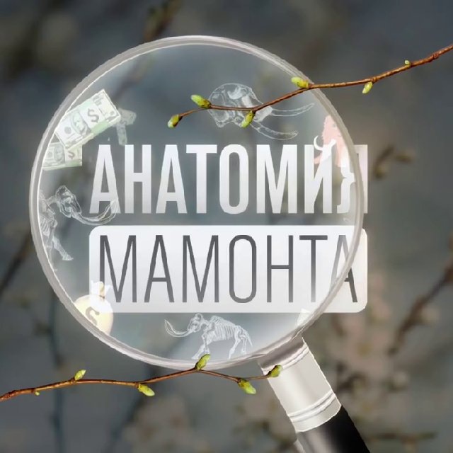 Как восстановить аккаунт в кракен