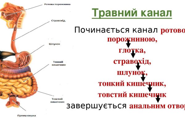 Как зайти на кракен через тор