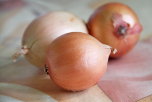 Kraken istand onion